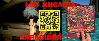 PSILOCYBIN Братск