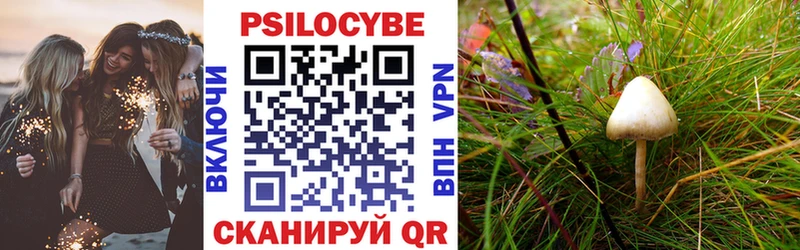даркнет сайт  Белорецк  Псилоцибиновые грибы Magic Shrooms 